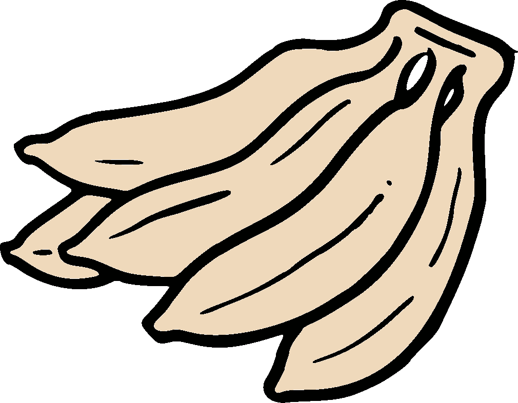 a hand of bananas